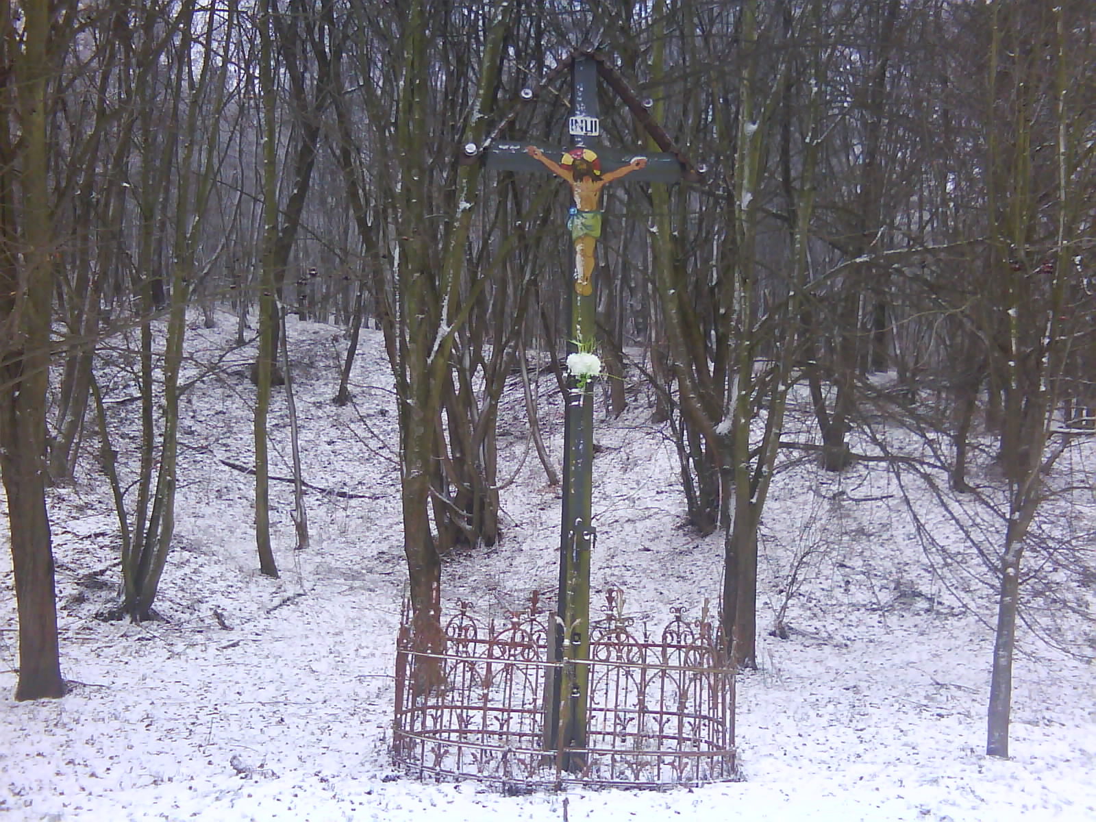 DSC00164.JPG