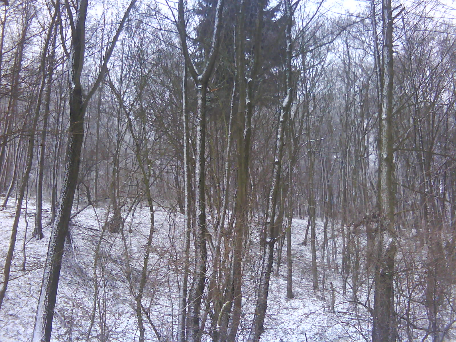 DSC00163.JPG