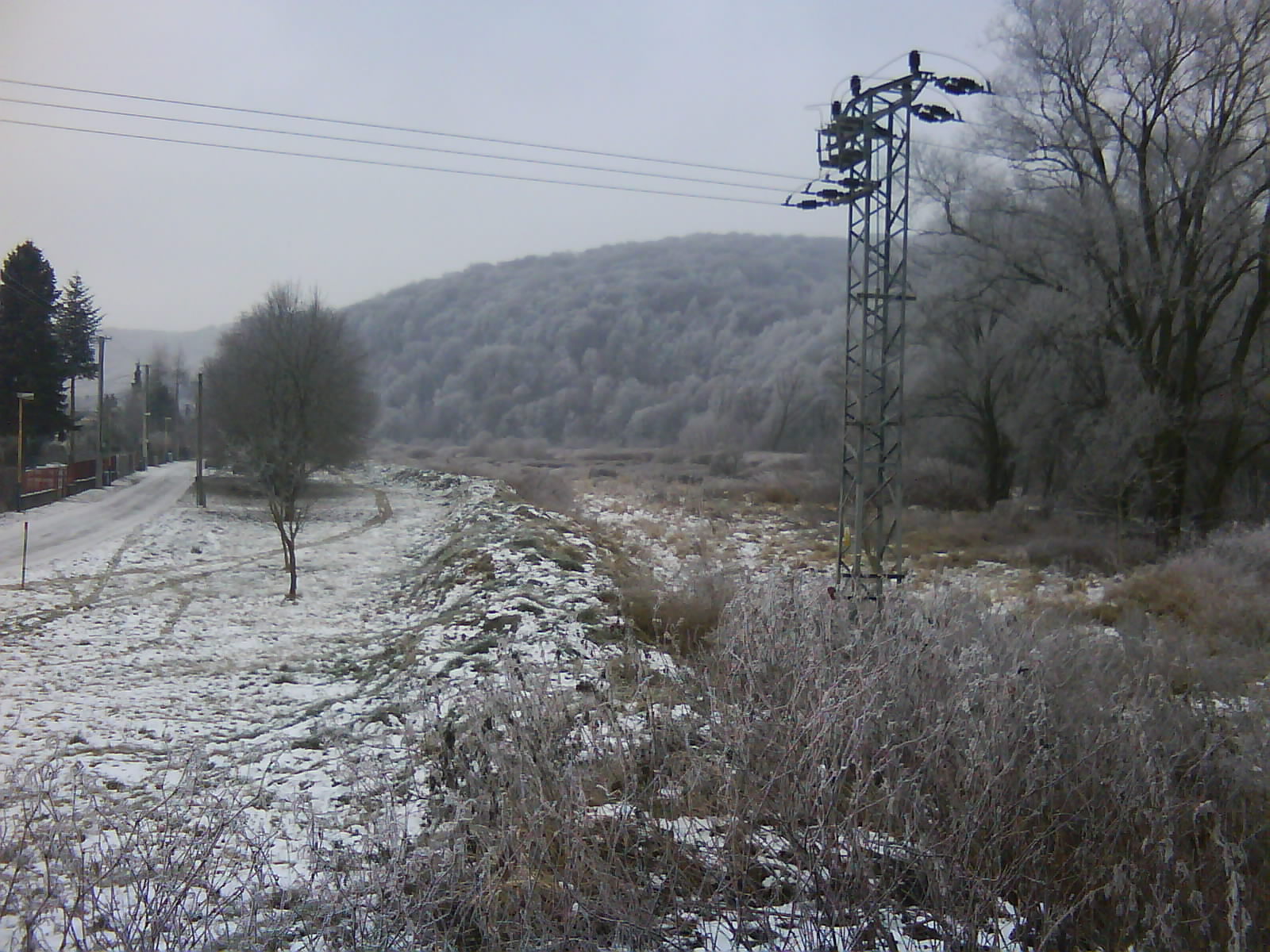 DSC00162.JPG