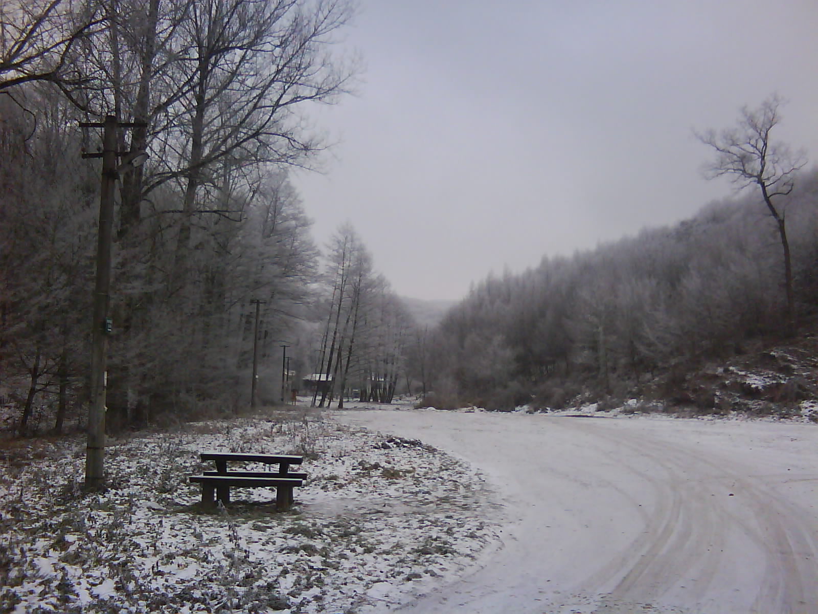 DSC00158.JPG