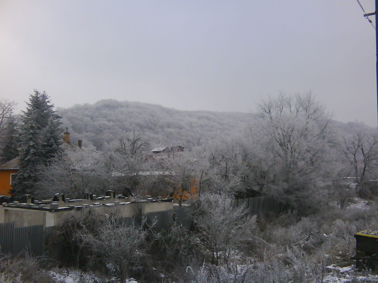 DSC00156.JPG