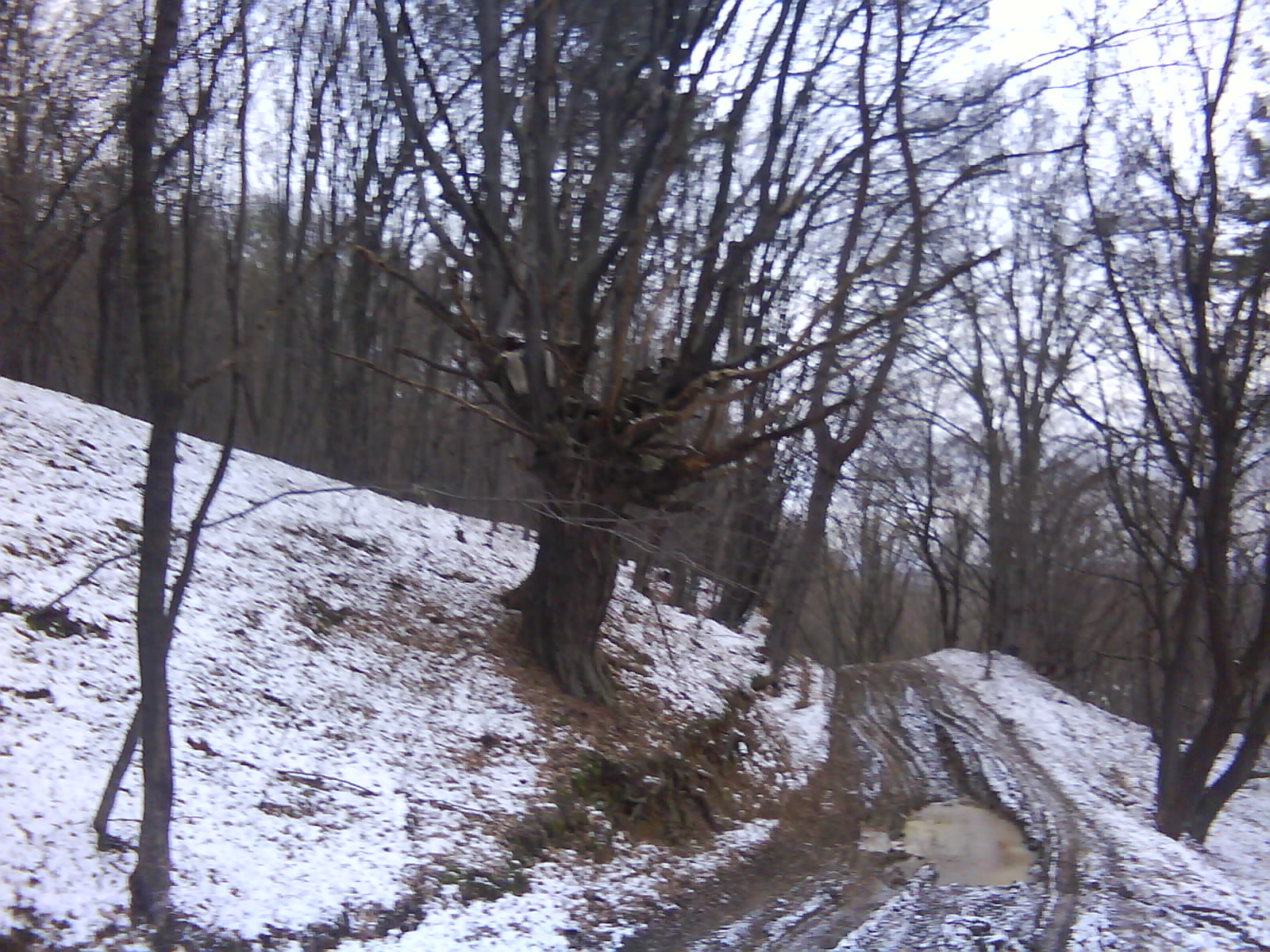 DSC00143.JPG