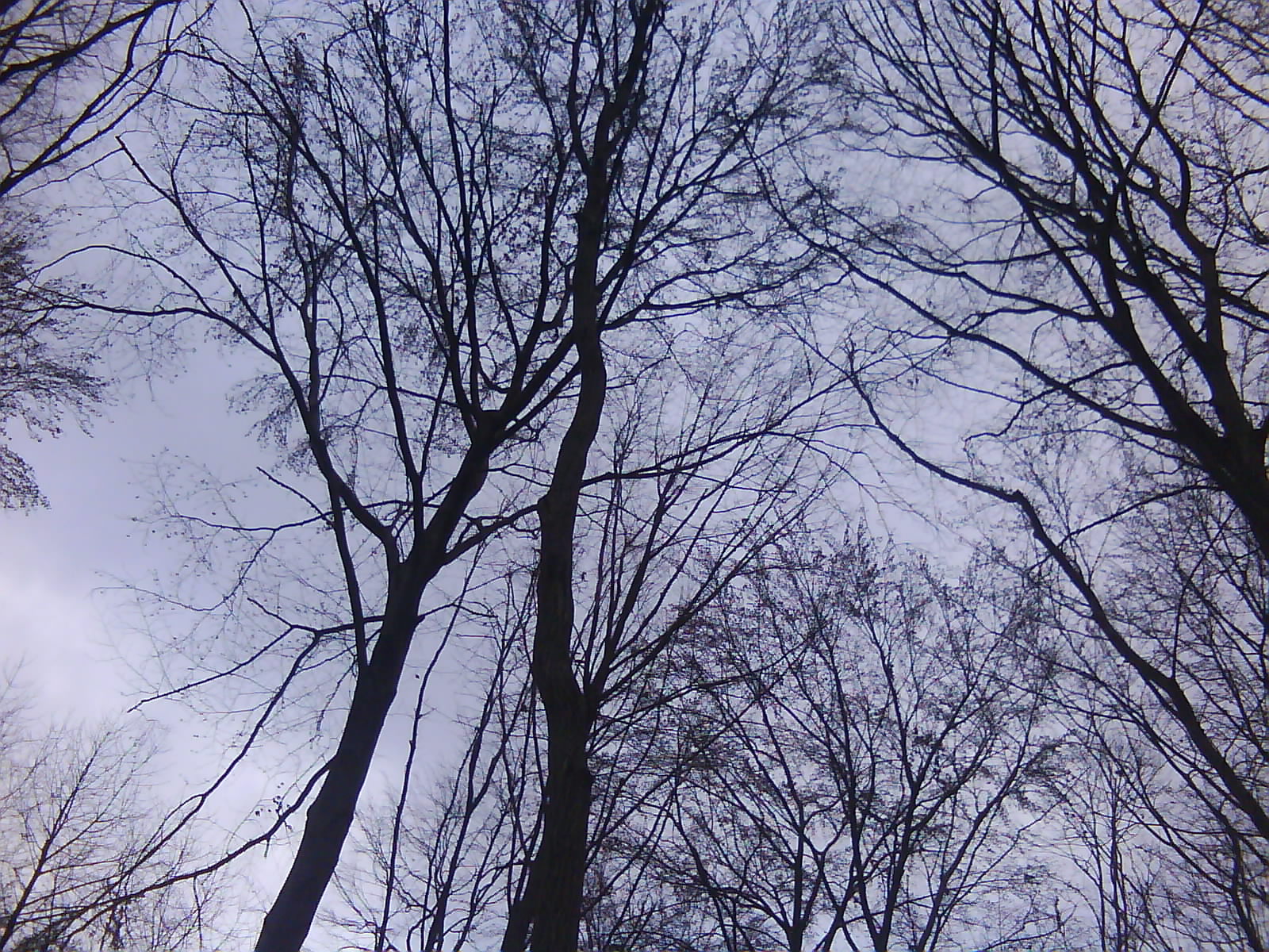DSC00142.JPG