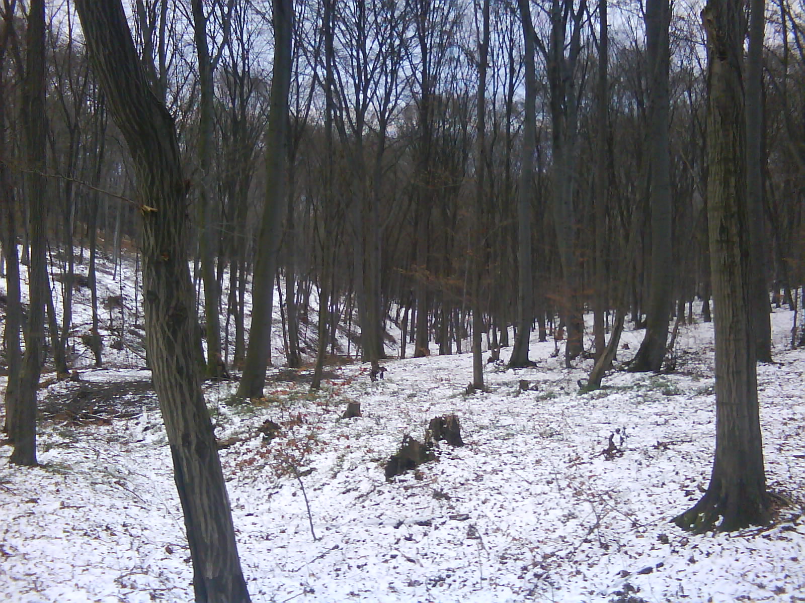 DSC00139.JPG