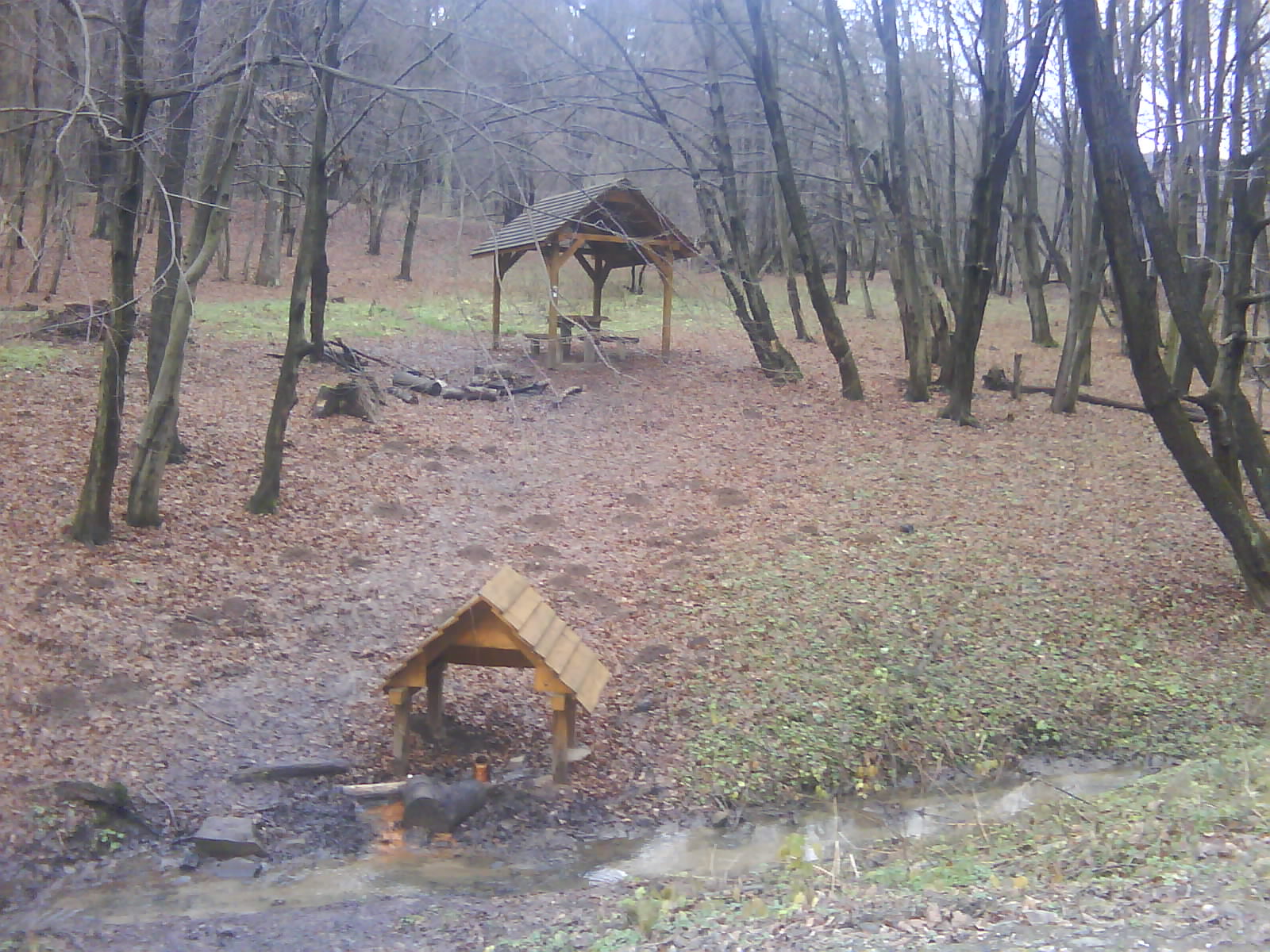 DSC00134.JPG