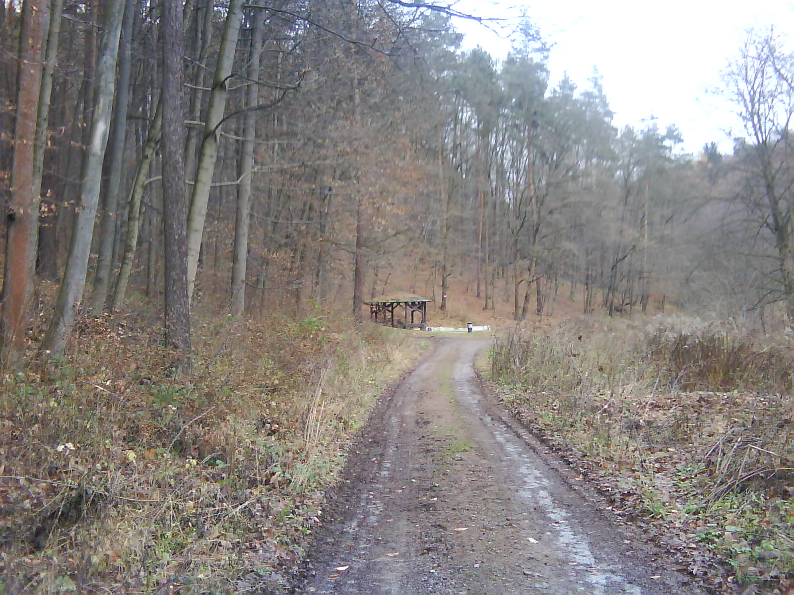 DSC00129.JPG