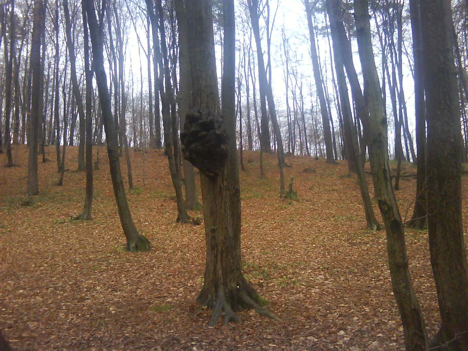 DSC00127.JPG