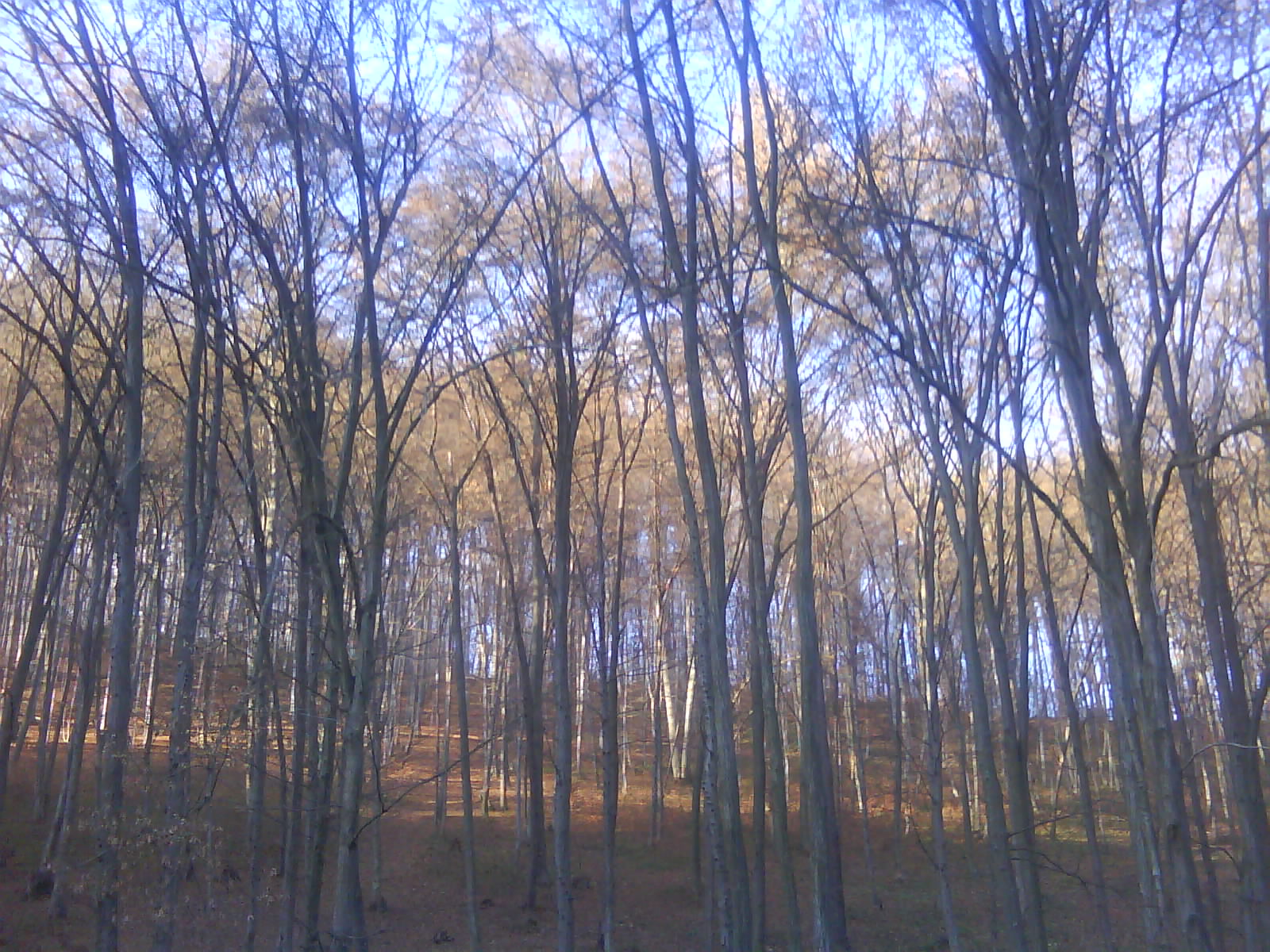DSC00109.JPG