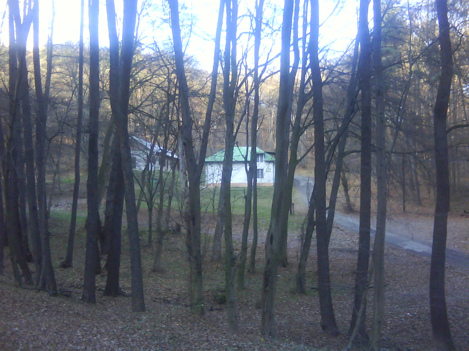 DSC00108.JPG