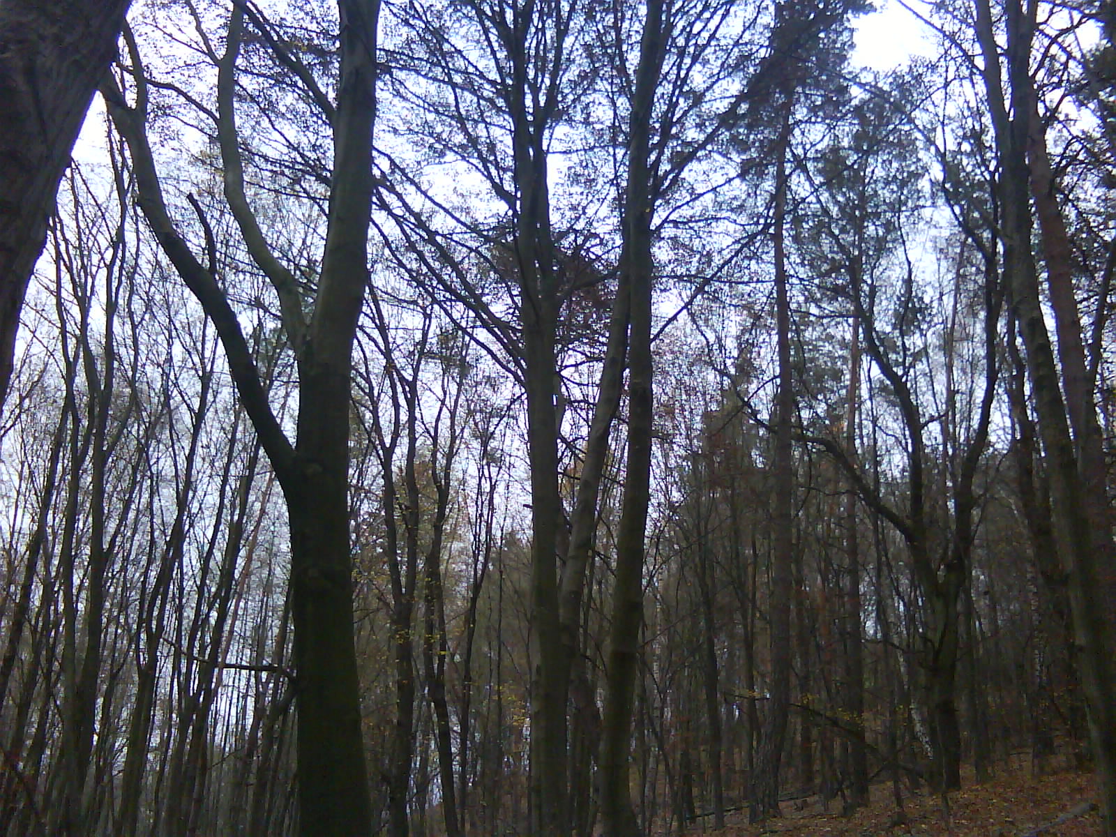 DSC00091.JPG