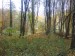 DSC00078.JPG