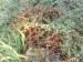 DSC00081.JPG