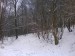 DSC00173.JPG