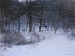 DSC00176.JPG