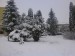 DSC00194.JPG