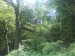 DSC00279.JPG