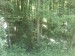DSC00296.JPG