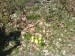 DSC00572.JPG