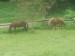 DSC00585.JPG