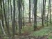 DSC00651.JPG