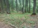 DSC00653.JPG