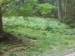 DSC00661.JPG