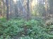 DSC00662.JPG