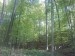 DSC00053.JPG