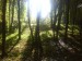 DSC00057.JPG