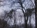 DSC00167.JPG