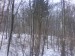 DSC00163.JPG