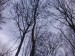 DSC00142.JPG