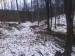 DSC00141.JPG