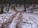 DSC00140.JPG