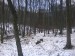 DSC00139.JPG