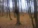 DSC00127.JPG