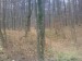 DSC00104.JPG